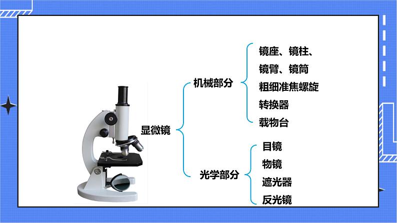 济南版生物七上 1.4 《生物学的研究工具》  课件+教案+练习06