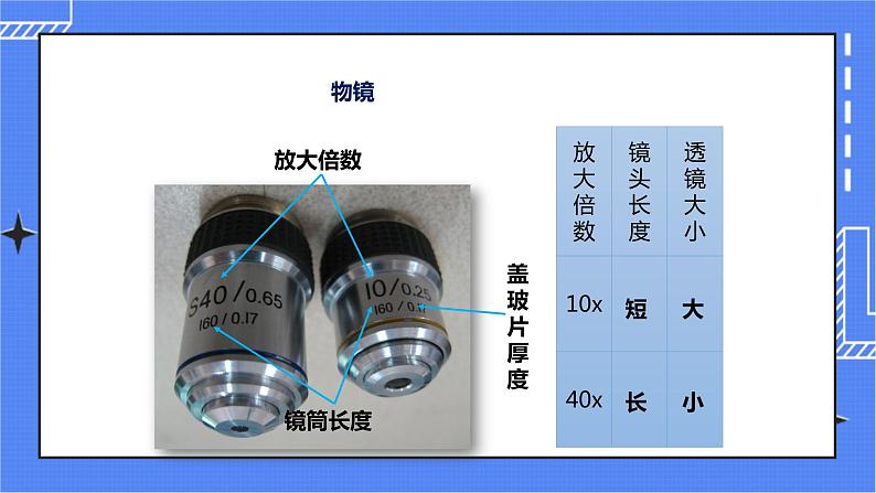 济南版生物七上 1.4 《生物学的研究工具》  课件+教案+练习08