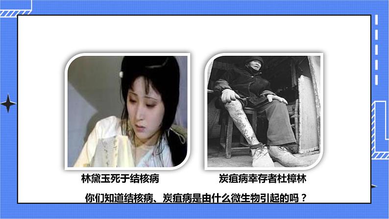 济南版生物七上 2.2 《细胞的分裂与分化》 课件+教案+练习02