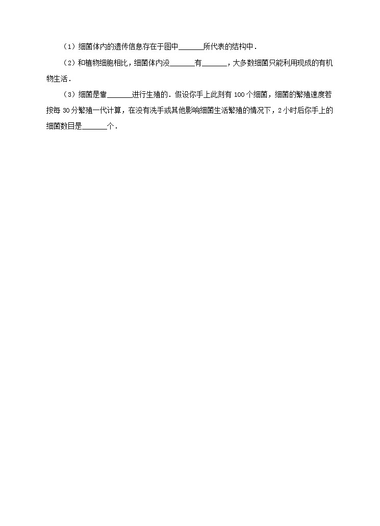 济南版生物七上 2.2 《细胞的分裂与分化》 课件+教案+练习03