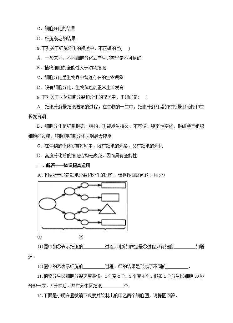 济南版生物七上2.2 《细胞的分裂与分化》   课件+教案+练习02