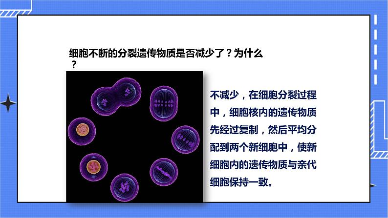 济南版生物七上2.2 《细胞的分裂与分化》   课件+教案+练习07