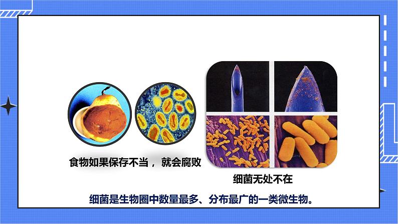 济南版生物七上2.2 《细胞的分裂与分化》 课件+教案+练习03