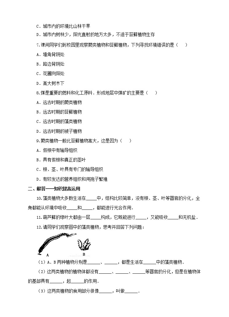 济南版生物七上 第二单元第一章第一节 《绿色植物的主要类群》第1课时（练习）第2页