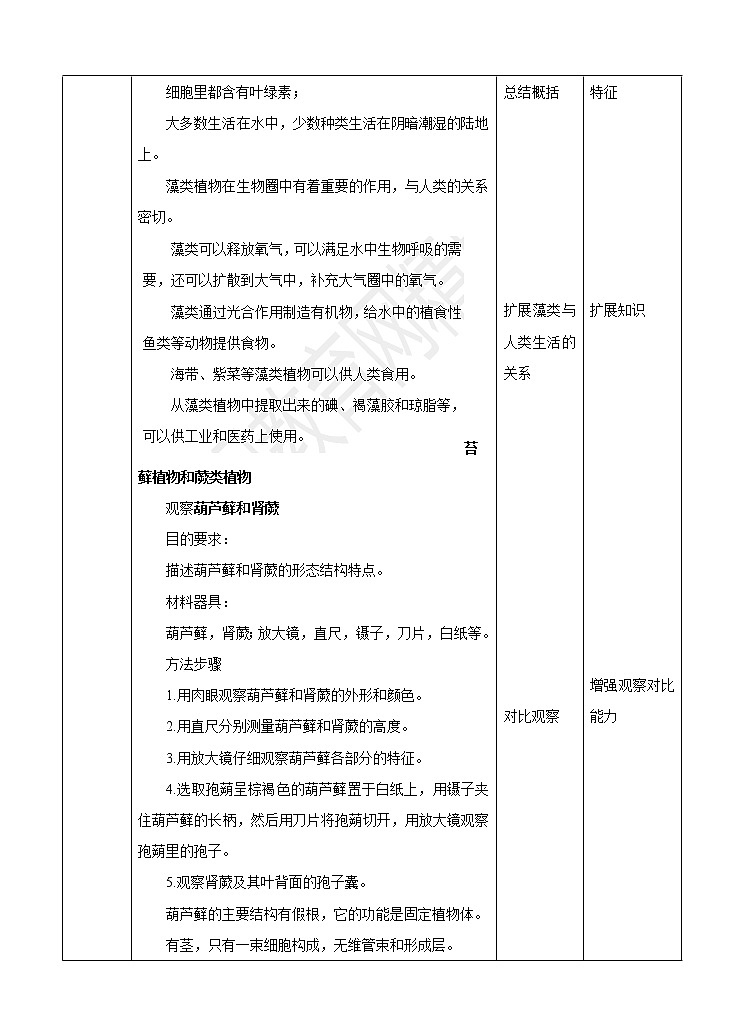 济南版生物七上 第二单元第一章第一节 《绿色植物的主要类群》第1课时（教案）第3页