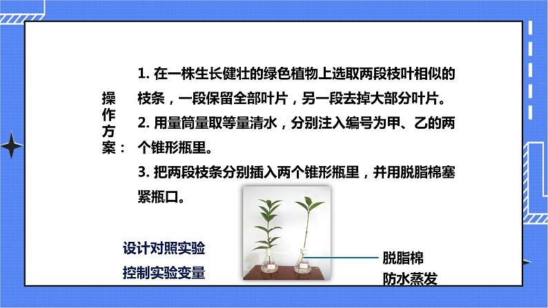 济南版生物七上 1.2 《绿色植物的蒸腾作用》  课件+教案+练习+素材05