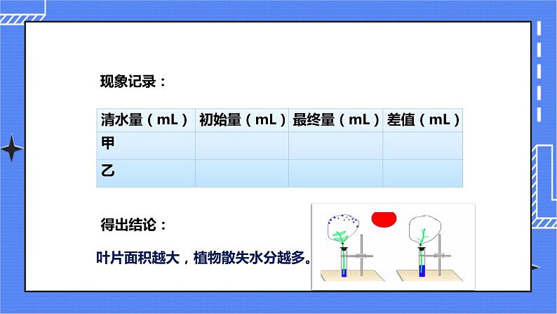 济南版生物七上 1.2 《绿色植物的蒸腾作用》  课件+教案+练习+素材07
