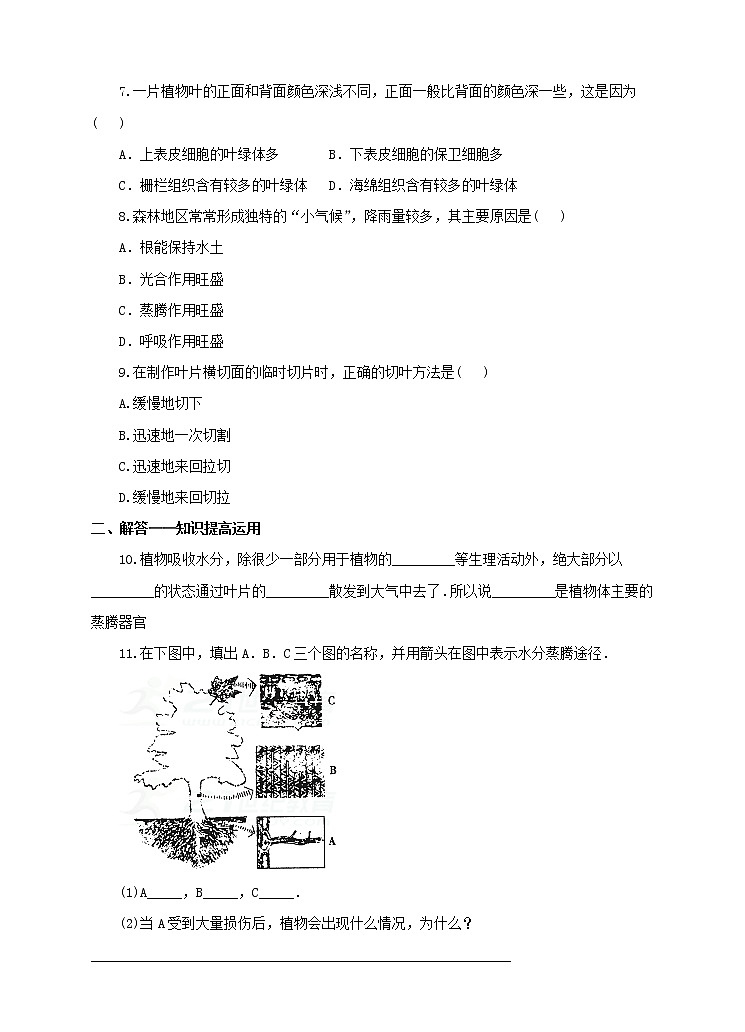 济南版生物七上 1.2 《绿色植物的蒸腾作用》  课件+教案+练习+素材02