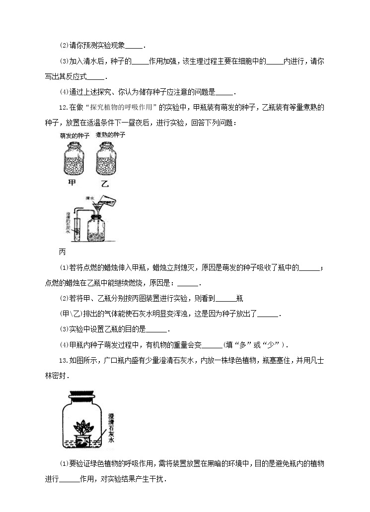 济南版生物七上 1.4 《绿色植物的呼吸作用》  课件+教案+练习+素材03