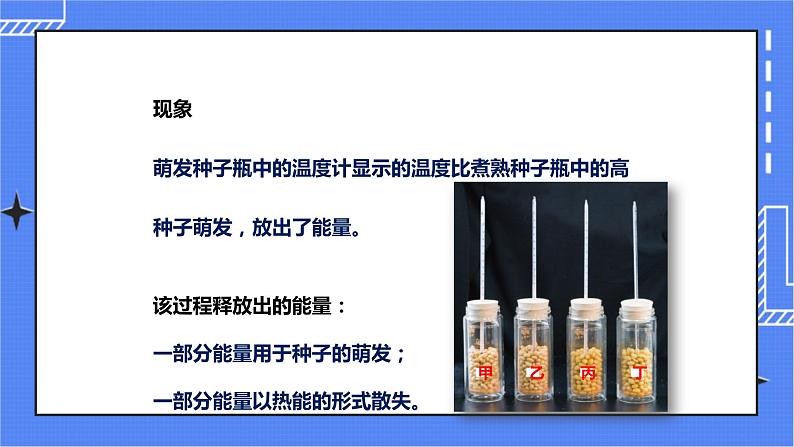 济南版生物七上 1.4 《绿色植物的呼吸作用》  课件+教案+练习+素材08