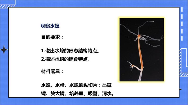 济南版生物七上 2.1《无脊椎动物的主要类群》第1课时  课件+教案+练习05