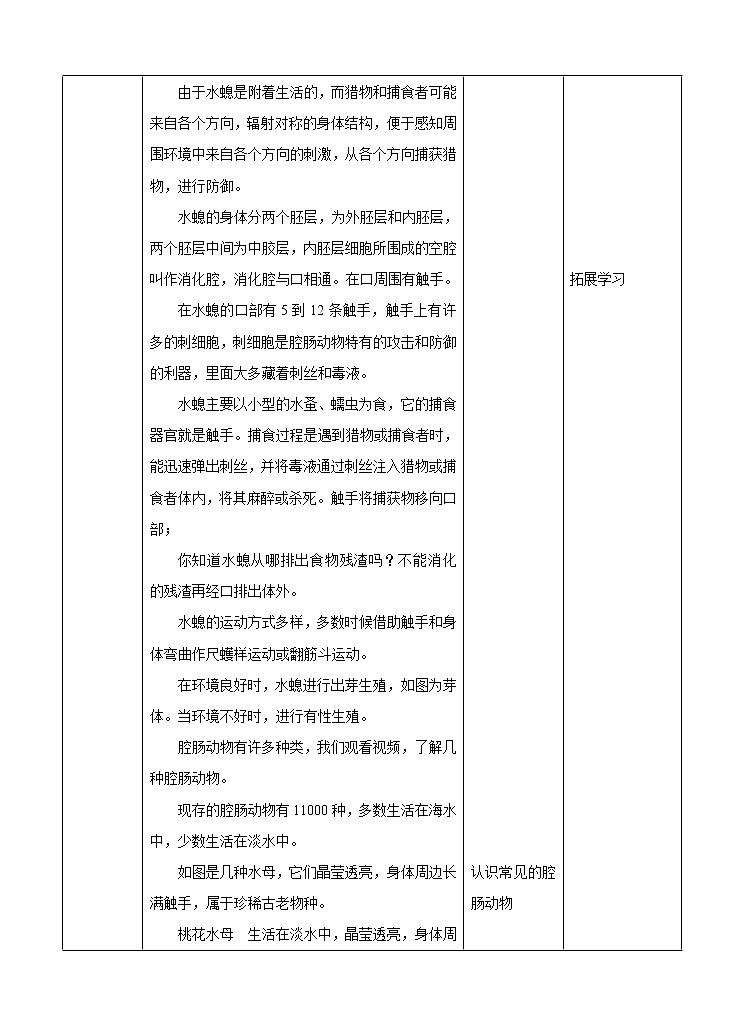 济南版生物七上 2.1《无脊椎动物的主要类群》第1课时  课件+教案+练习03