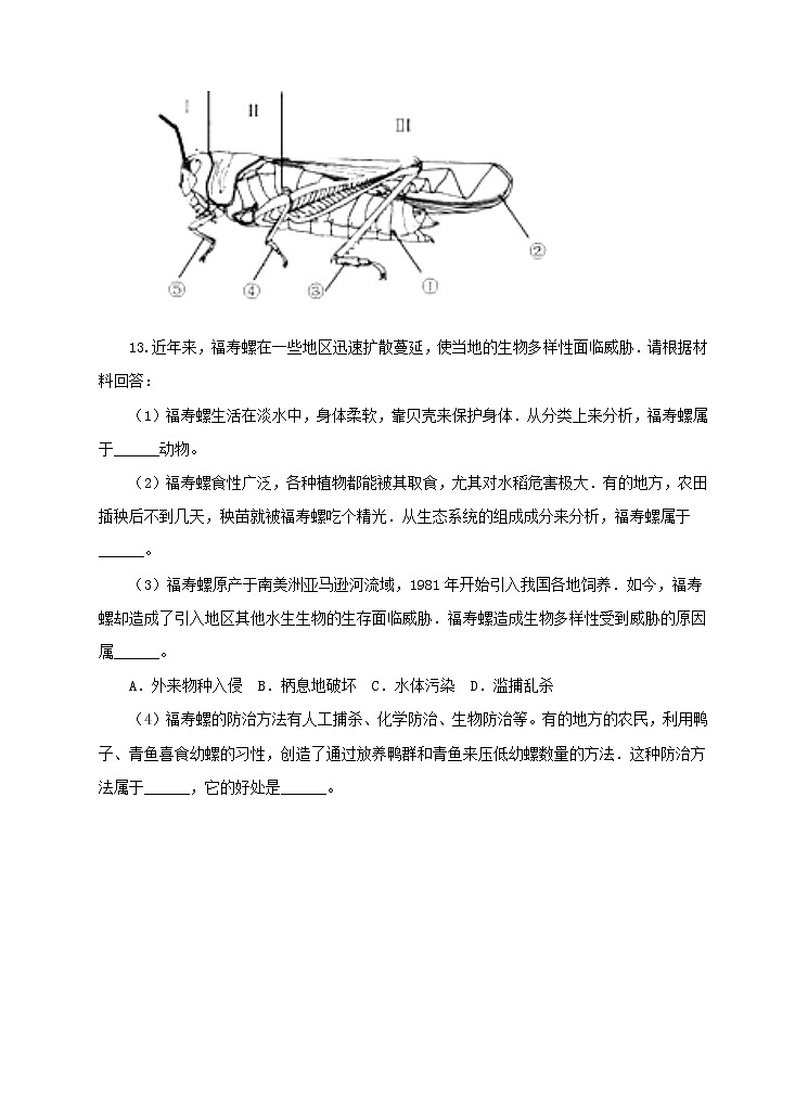 济南版生物七上 2.1《无脊椎动物的主要类群》第3课时   课件+教案+练习03
