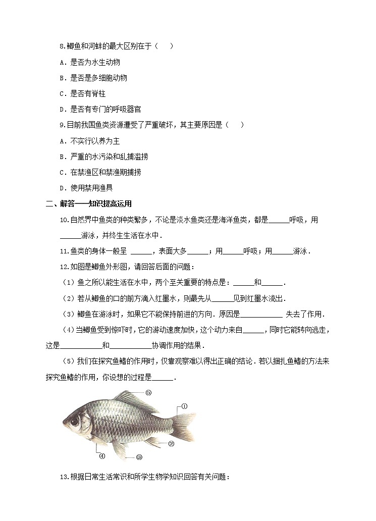 济南版生物七上 2.2《脊椎动物的主要类群》第1课时  课件+教案+练习+视频02