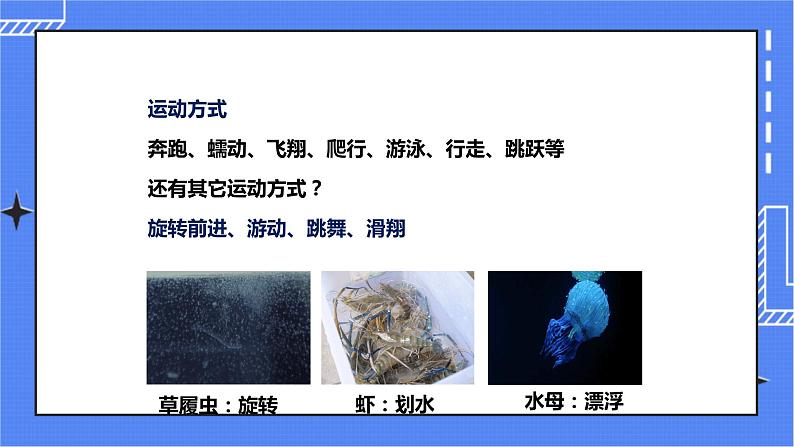 济南版生物七上 2.3 《动物的运动》   课件+教案+练习+视频08