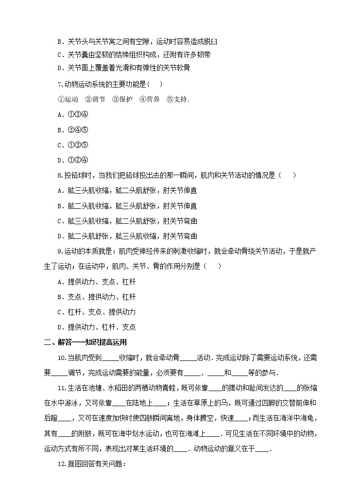 济南版生物七上 2.3 《动物的运动》   课件+教案+练习+视频02