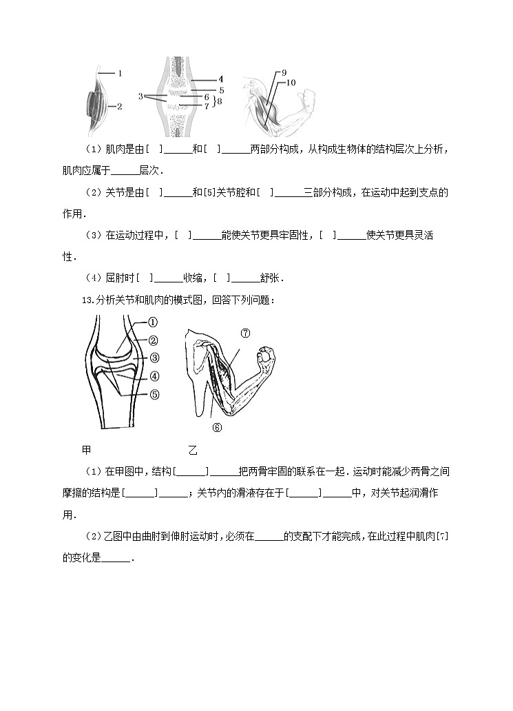 济南版生物七上 2.3 《动物的运动》   课件+教案+练习+视频03