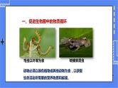 济南版生物七上 2.5 《动物在生物圈中的作用》课件+教案+练习+视频