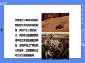 济南版生物七上 2.5 《动物在生物圈中的作用》课件+教案+练习+视频