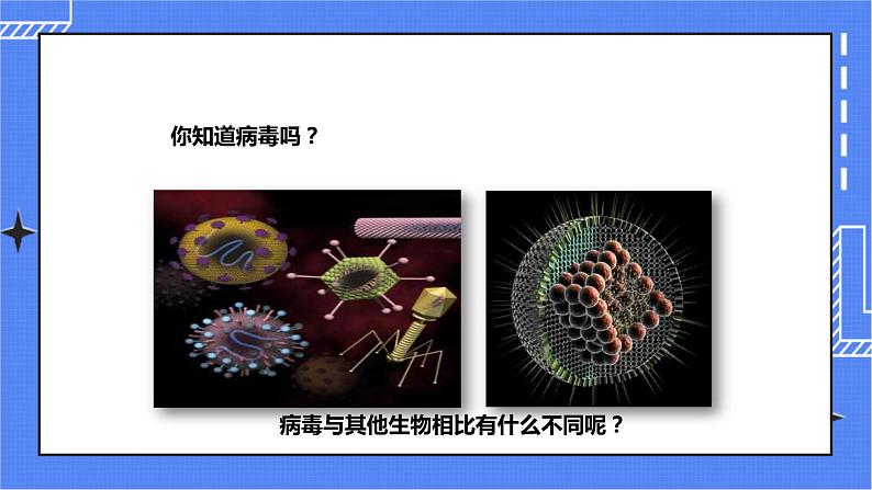 第三章第一节 《病毒》（课件）第2页