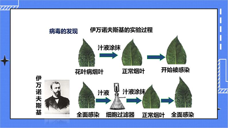 第三章第一节 《病毒》（课件）第3页