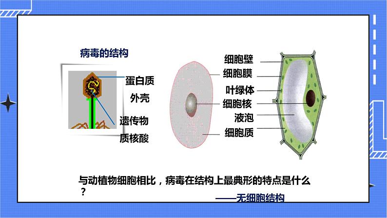 第三章第一节 《病毒》（课件）第8页