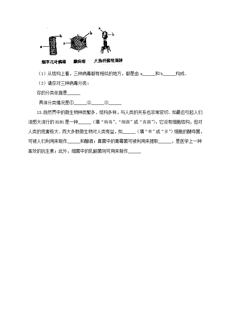 济南版生物七上 3.1《病毒》   课件+教案+练习+视频03