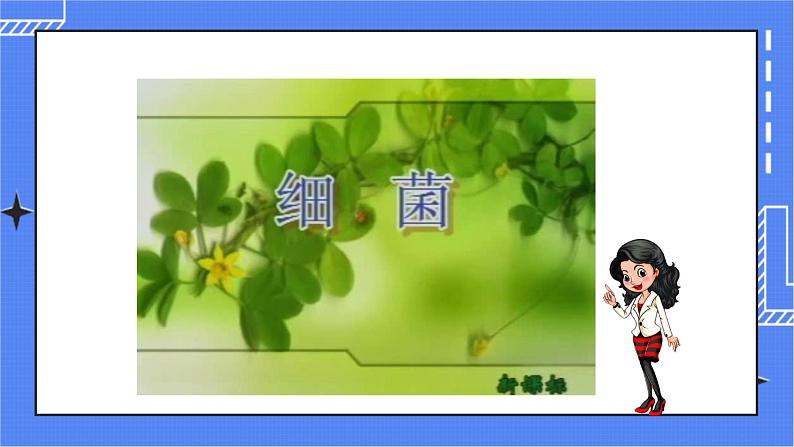 济南版生物七上 3.2 《细菌》  课件+教案+练习+视频07