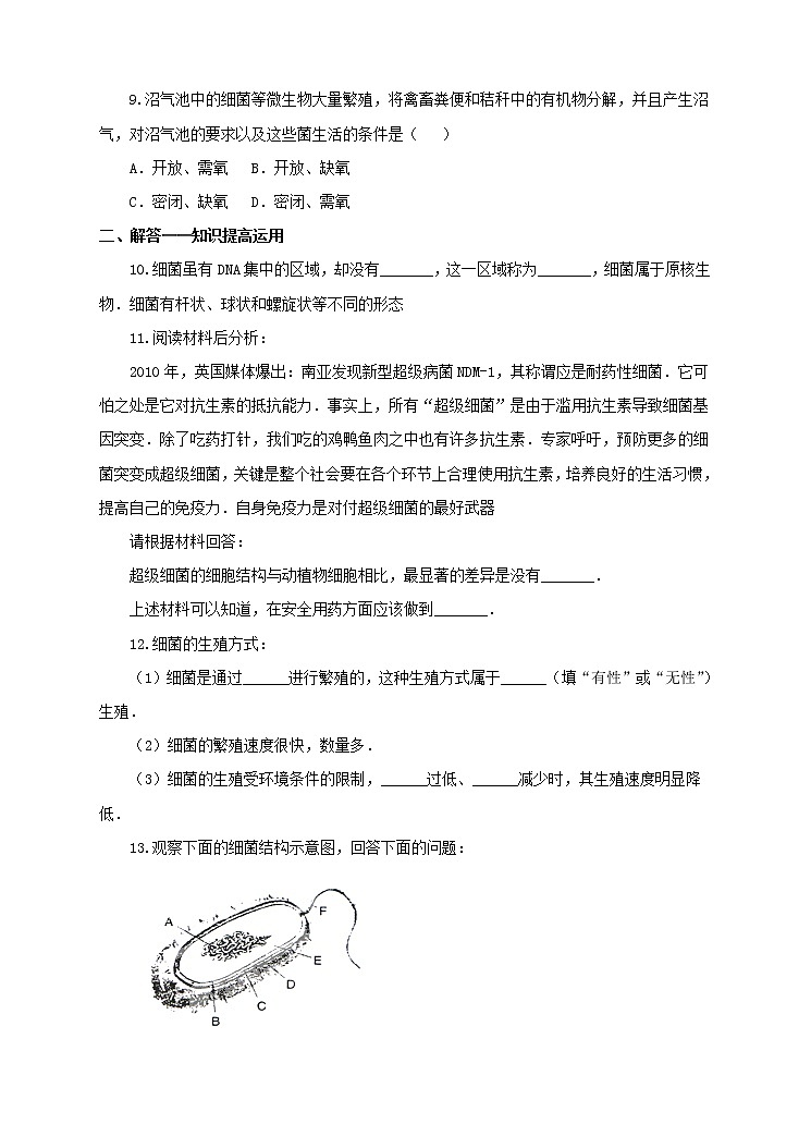 济南版生物七上 3.2 《细菌》  课件+教案+练习+视频02