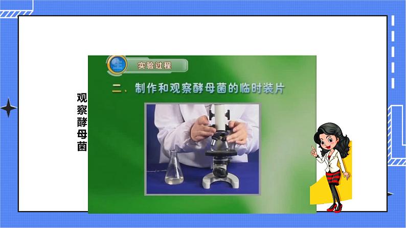 济南版生物七上 3.3 《真菌》  课件+教案+练习+视频05