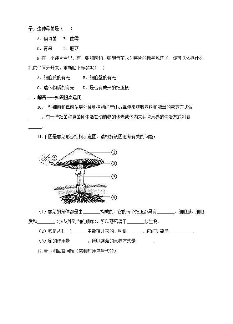 济南版生物七上 3.3 《真菌》  课件+教案+练习+视频02