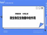 济南版生物七上 3.4《微生物在生物圈中的作用》  课件+教案+练习