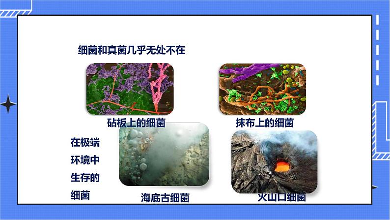 第二单元第三章第四节 《微生物在生物圈中的作用》（课件）第4页