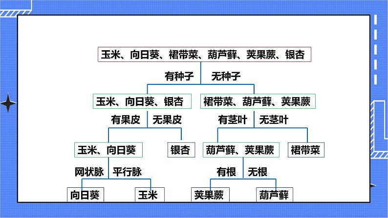 济南版生物七上 4.1《生物的分类方法》  课件+教案+练习08