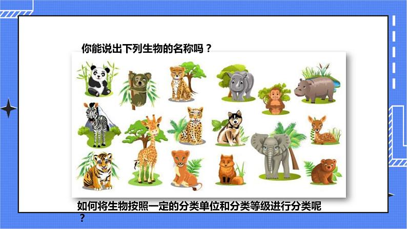 济南版生物七上 4.2 《生物的分类单位》  课件+教案+练习+视频02