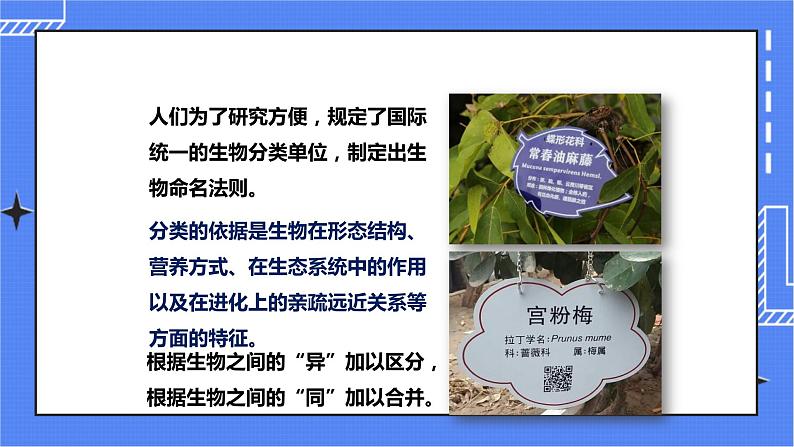 济南版生物七上 4.2 《生物的分类单位》  课件+教案+练习+视频04