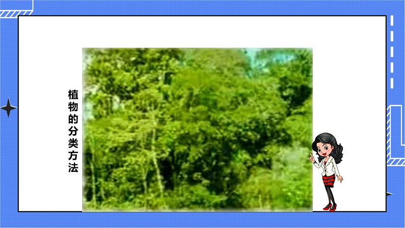 济南版生物七上 4.2 《生物的分类单位》  课件+教案+练习+视频05