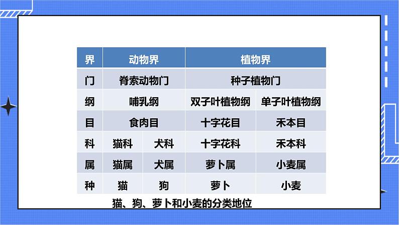 济南版生物七上 4.2 《生物的分类单位》  课件+教案+练习+视频08