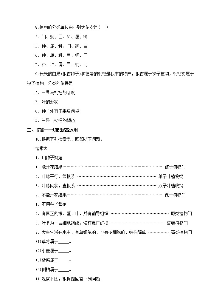 济南版生物七上 4.2 《生物的分类单位》  课件+教案+练习+视频02