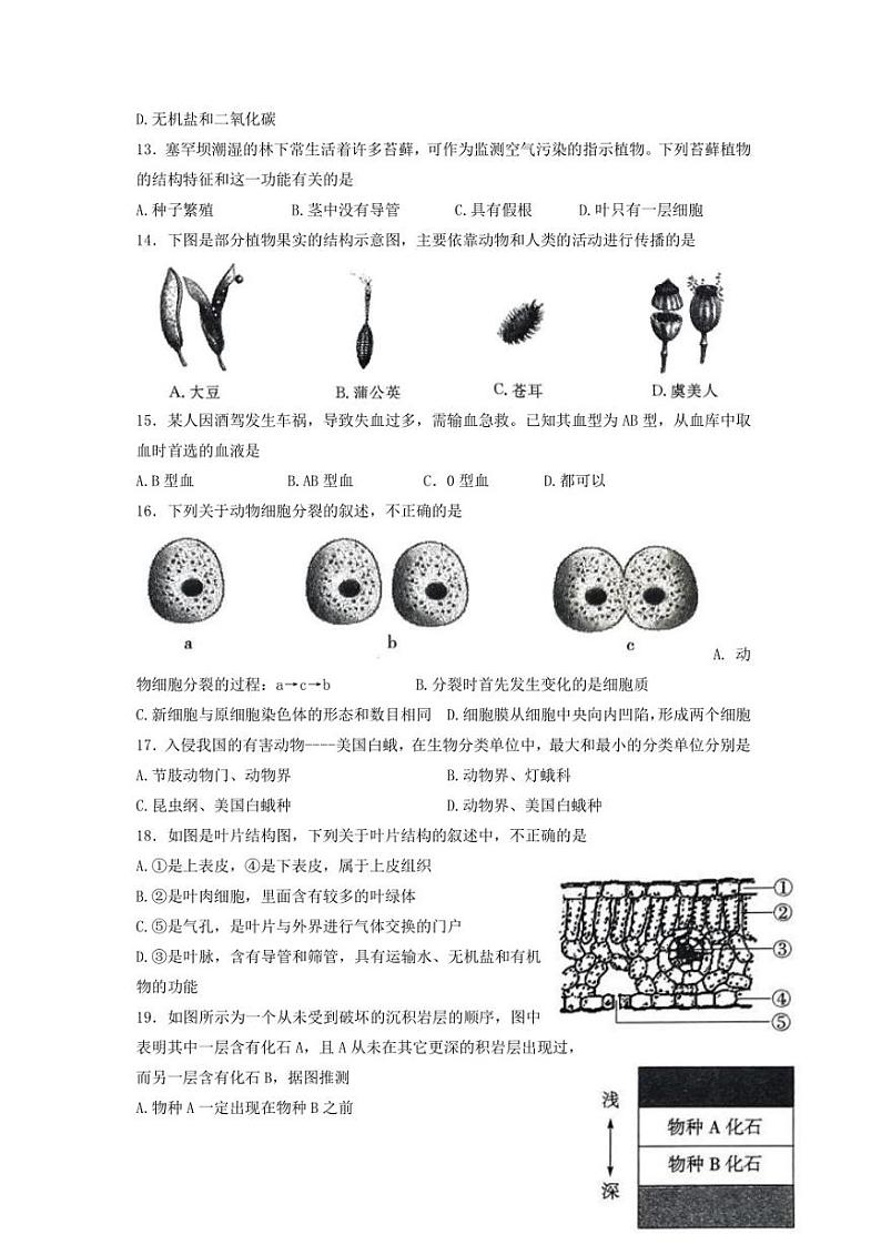 2022聊城初中学生学业水平模拟考试【生物】一模真题03