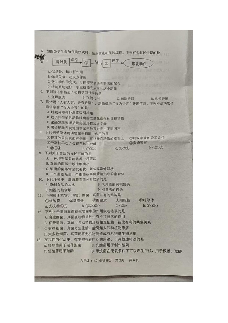 仁寿县2023年八年级上册生物期末质量监测试题02