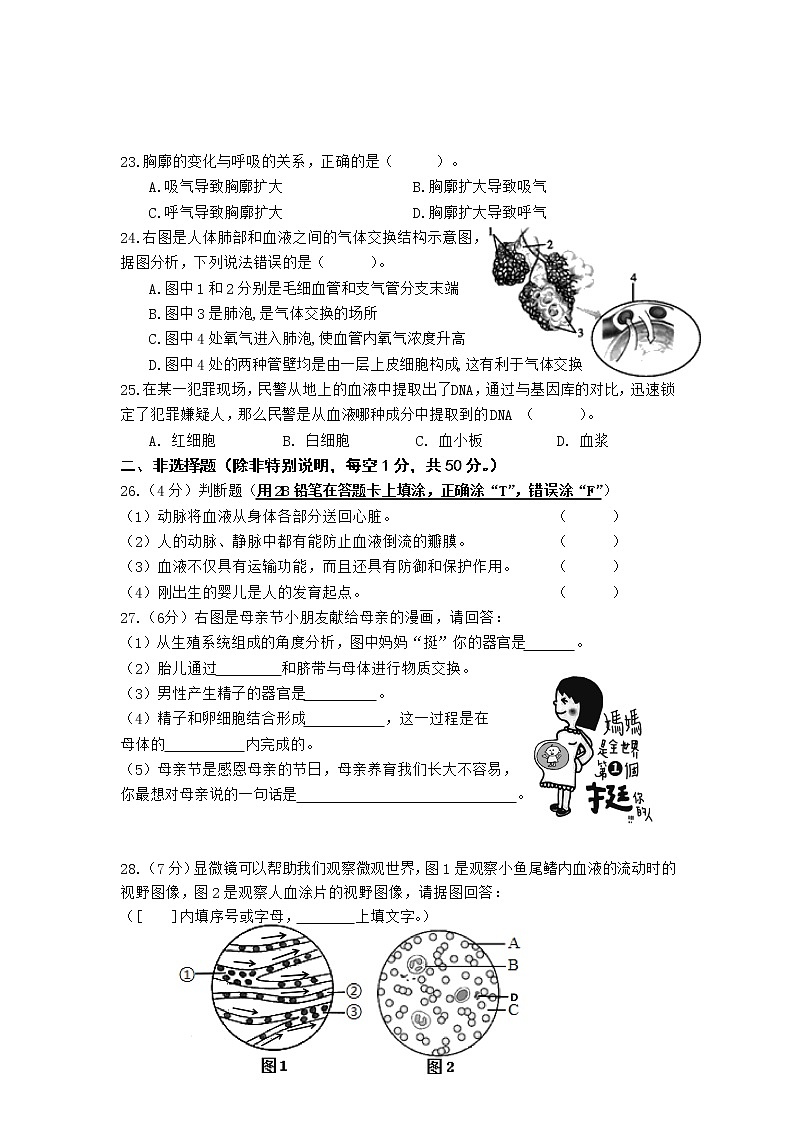 厦门市逸夫中学2021-2022学年七年级下学期期中质量检测生物试卷（无答案）第3页