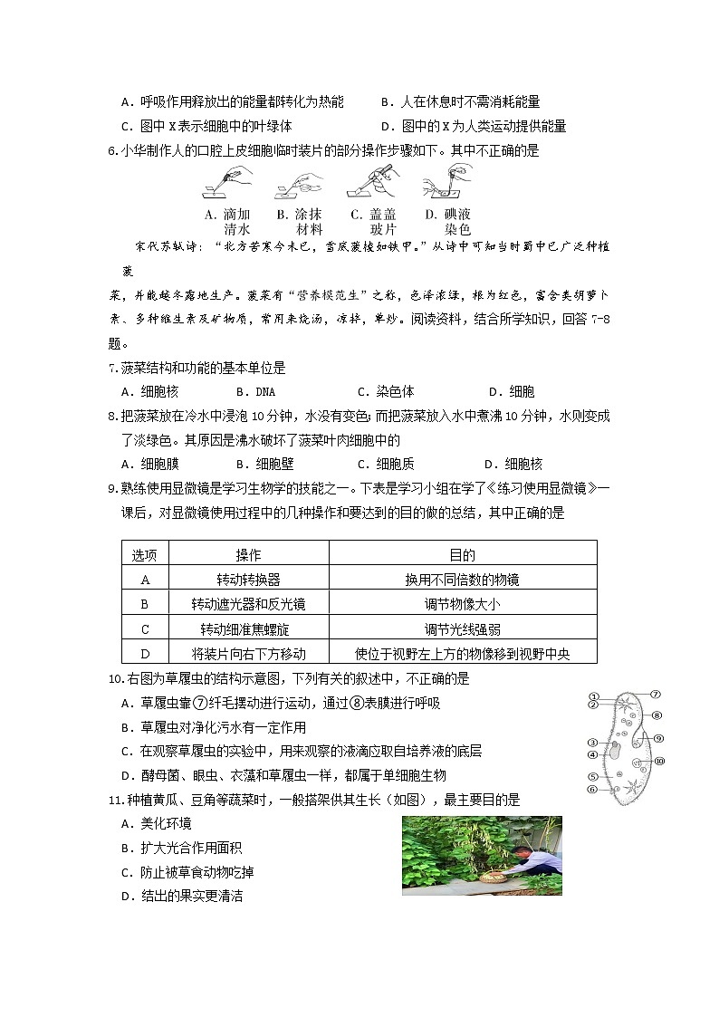 山西省阳泉市盂县2021-2022学年七年级上学期期末教学质量监测生物试卷（无答案）02