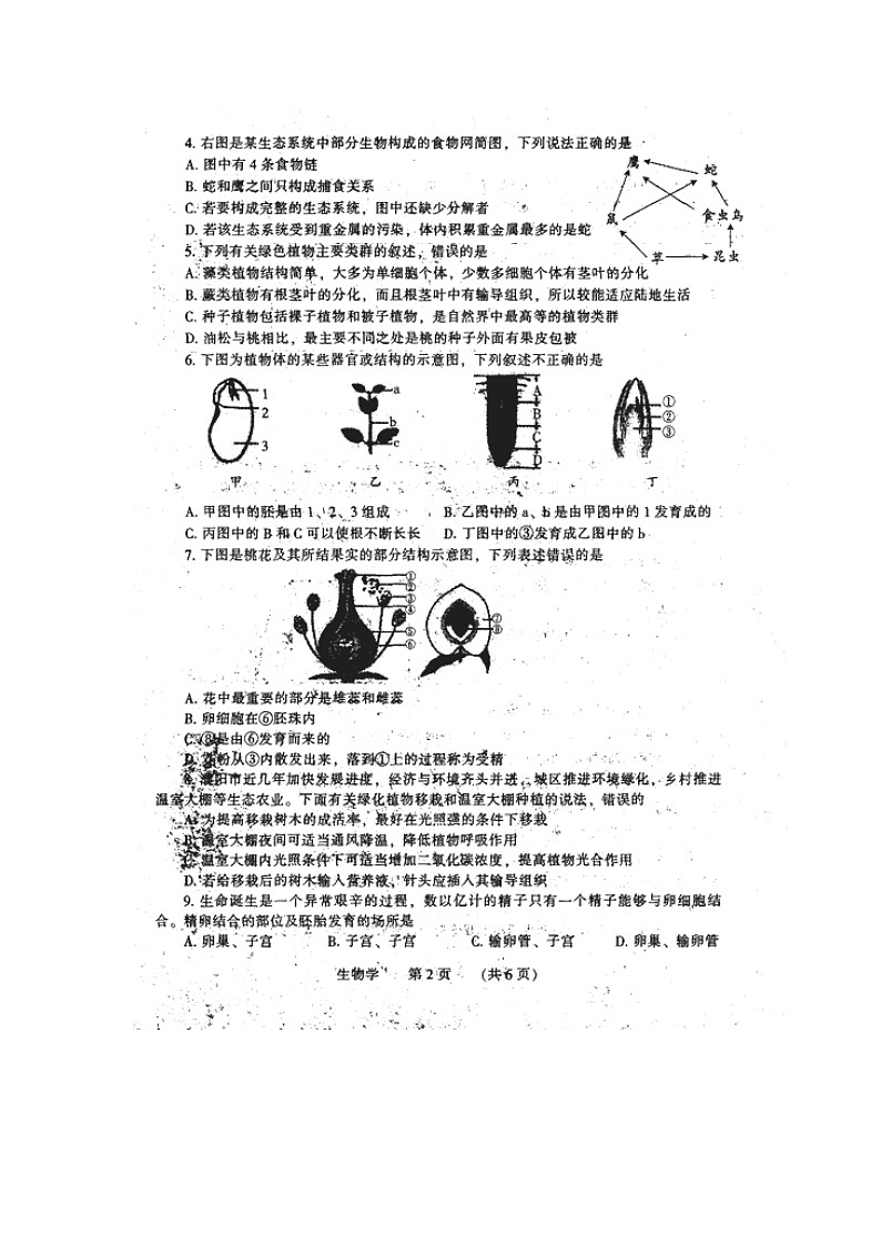 河南省濮阳市台前县2020-2021学年七年级下学期期末考试生物试卷（扫描版，无答案）第2页
