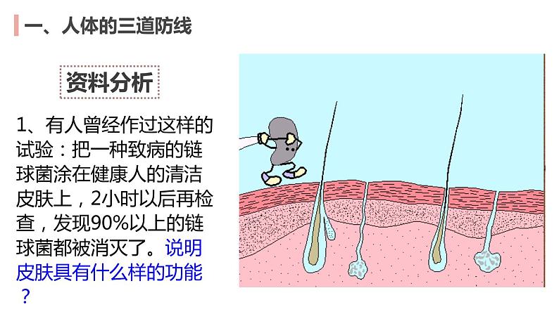 8.1免疫与计划免疫2022-2023学年八年级生物下册同步课件（人教版）04