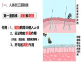 8.1免疫与计划免疫2022-2023学年八年级生物下册同步课件（人教版）