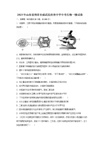 2023年山东省菏泽市成武县育青中学中考生物一模试卷（含解析）