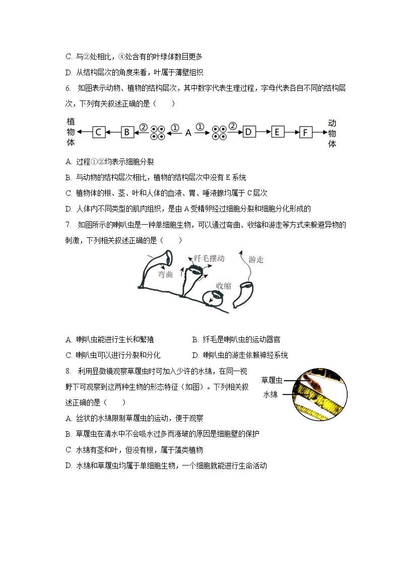 2022-2023学年江苏省南通市崇川区田家炳中学七年级（下）第一次月考生物试卷（含解析）03