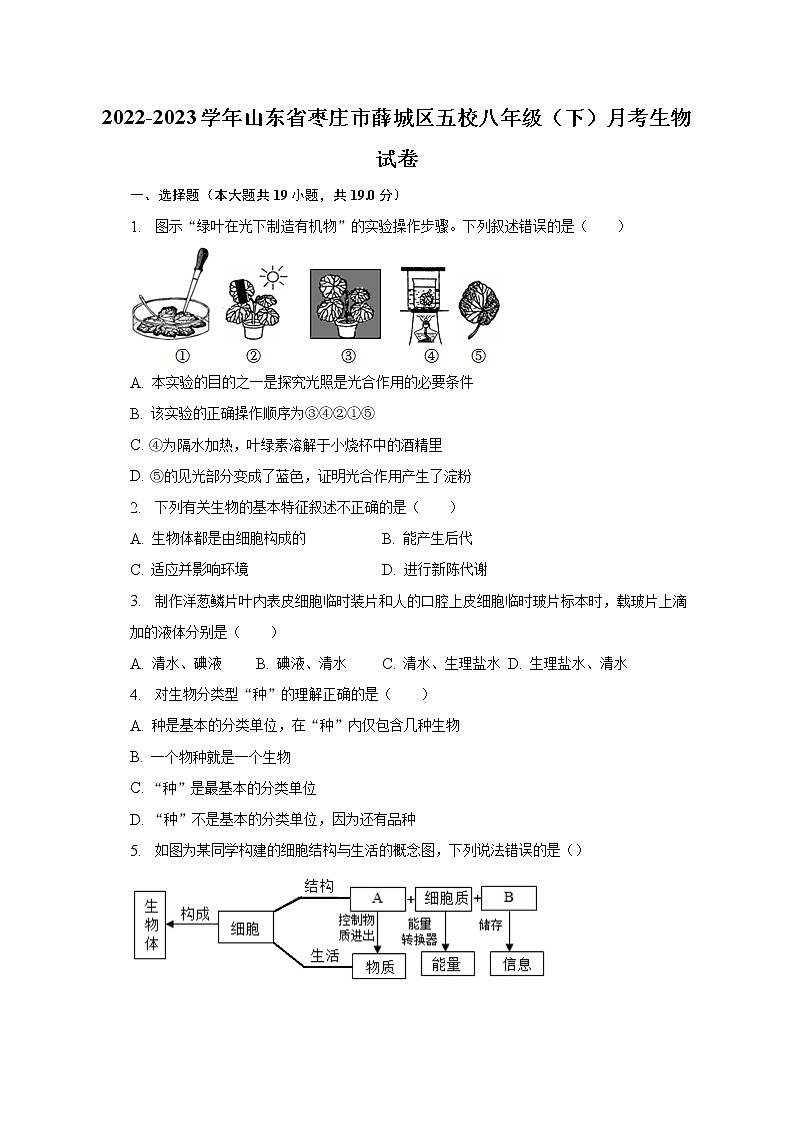 2022-2023学年山东省枣庄市薛城区五校八年级（下）月考生物试卷（含解析）01