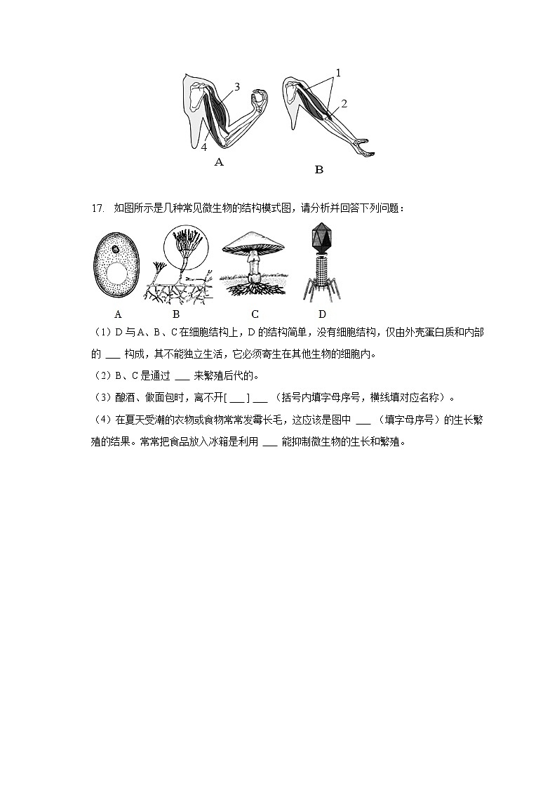 2022-2023学年广西河池市环江县八年级（上）期末生物试卷（含解析）第3页